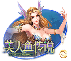 信任！利物浦队史最贵的两笔引援维尔茨&埃基蒂克均由斯帅点头