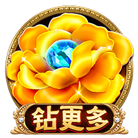 星空下载安装app官方安装版
